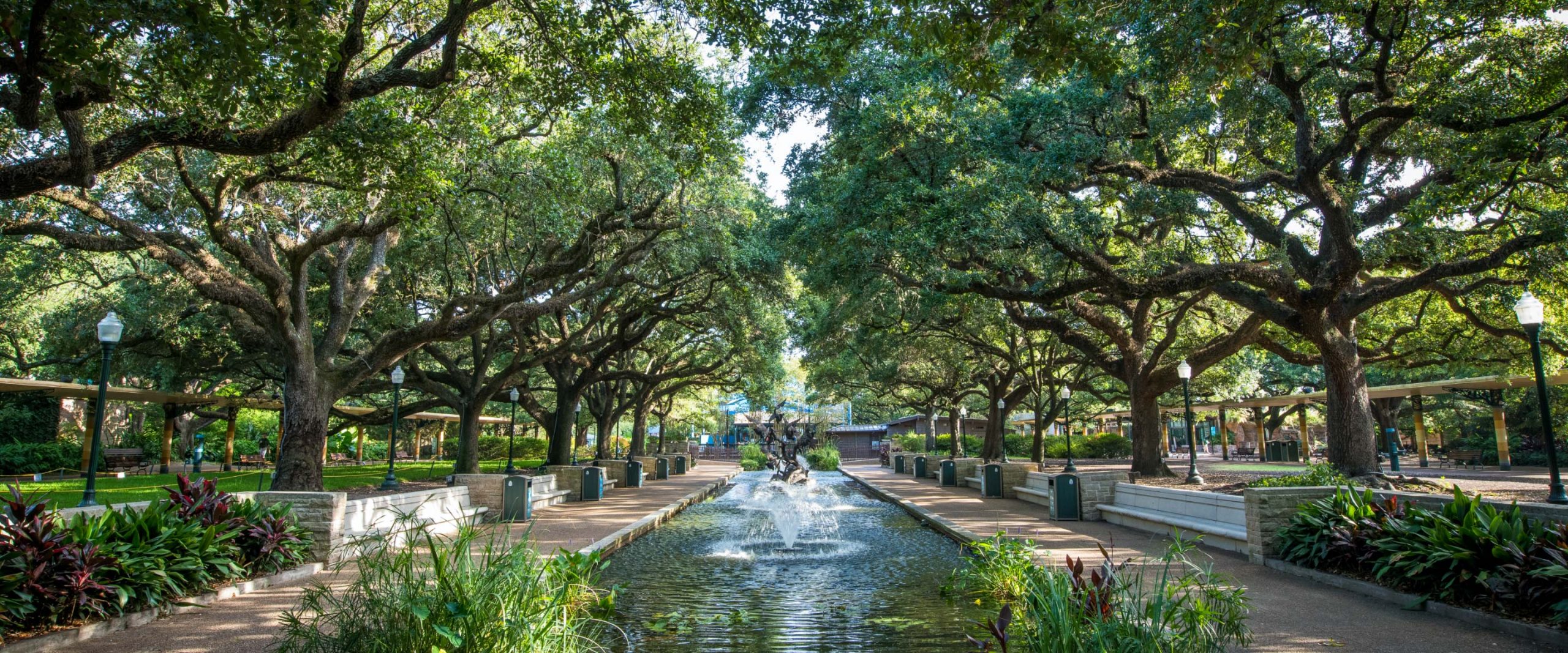 Your Zoo Transformed - Houston Zoo Centennial Campaign