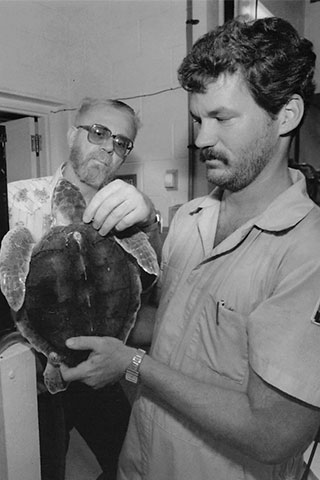 Saving Sea Turtles in the Wild 
