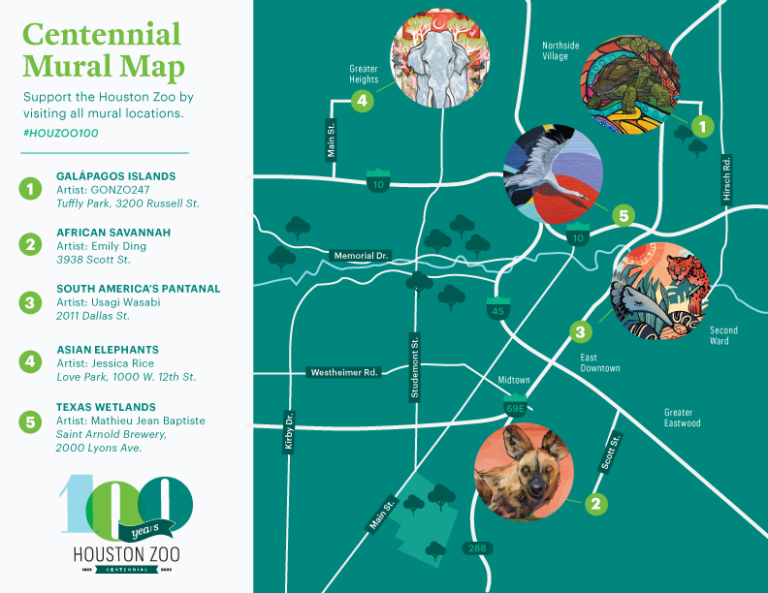 Centennial Mural Project - Houston Zoo Centennial Campaign